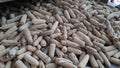 A pile of Maize corn cobs Royalty Free Stock Photo
