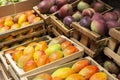 pile of mangoes in the Colombian market