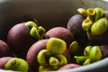pile of mangosteen fruit in the basin Royalty Free Stock Photo