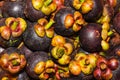 Pile of mangosteen fruits