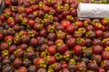 Pile of mangosteen for sale at tropical fruit stand Royalty Free Stock Photo