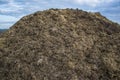 Pile of manure in the countryside with blue sky. Heap of dung in field on the farm yard with village in background