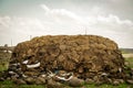 Pile of manure in the village which is used as construction material or heating