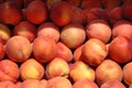 Fresh juicy peaces  at local market Royalty Free Stock Photo