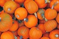 Pile of small orange \'Little Halloween\' carving pumpkins Royalty Free Stock Photo