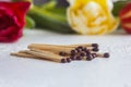 A pile of matches close up on a white table. Macro fire igniter on blurred background Royalty Free Stock Photo