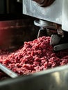 Pile of meat is being processed in a machine Royalty Free Stock Photo