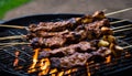 A pile of meat on skewers on a grill Royalty Free Stock Photo