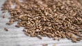 Pile of medicinal seeds of dried milk thistle plant on a aged board.