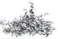 Pile of Metal Shavings Royalty Free Stock Photo