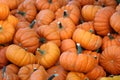 Pile of Mini Pumpkins background Royalty Free Stock Photo