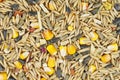 Pile of mixed bird food Royalty Free Stock Photo