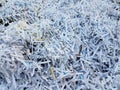 Pile or mound of white shredded paper scraps Royalty Free Stock Photo