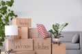 Pile of moving boxes and household stuff Royalty Free Stock Photo