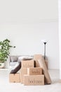 Pile of moving boxes and household stuff Royalty Free Stock Photo