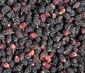 Pile of mulberry