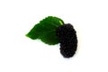 A pile of Mulberry with leaf Isolated on white background blackberry