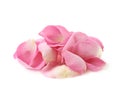 Pile of multiple rose petals