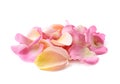 Pile of multiple rose petals