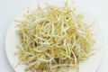 Pile of mung bean sprouts on white background