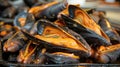 A pile of mussels with orange flesh and black shells Royalty Free Stock Photo