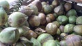 pile of native Indonesian young green coconuts