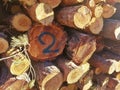 a pile of natural pine logs freshly cut to produce firewood. A log bears the number two written Royalty Free Stock Photo