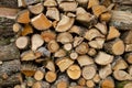 pile of oak firewood cut and stacked for drying Royalty Free Stock Photo