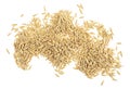 Pile of oat grains isolated on white background, top view. Heap of raw and dry oat grains