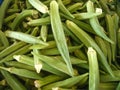 Pile of Okra green seed pods