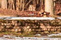 A pile of old bricks on the foundations of the stage