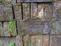 A pile of old bricks to moss selective focus  W Royalty Free Stock Photo