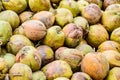 Pile of old coconuts on the ground, Thailand. Royalty Free Stock Photo