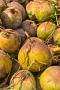 Pile of old coconuts on the ground Royalty Free Stock Photo