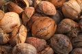 Pile of old coconuts Royalty Free Stock Photo