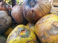 A pile of old coconuts ready to be made into coconut milk