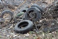 A pile of old dirty black tires lying on the ground and among the gray vegetation