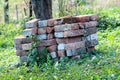 Pile of old heavily used construction red bricks partially covered with concrete stacked neatly next to small tree in garden Royalty Free Stock Photo