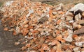 Pile of old red bricks. A pile of stones. Construction debris Royalty Free Stock Photo