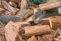 Pile of old rotten stumps of trees felled in the woods.