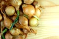 Pile of onions on wooden table Royalty Free Stock Photo