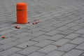 Pile of orange clay pigeon targets and shards of shot pigeon on pavement