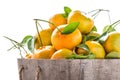 Pile of orange fresh from the garden Royalty Free Stock Photo