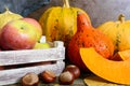 Pile of orange harvested pumpkins, dry leaves, apples, chestnuts on wooden table, retro toned. Royalty Free Stock Photo