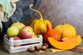 Pile of orange harvested pumpkins, dry leaves, apples, chestnuts on wooden table, retro toned Royalty Free Stock Photo