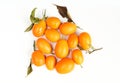 Pile of orange kumquats isolated on white background. Juicy fruit