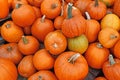 Pile of orange Halloween pumpkins used for carving Royalty Free Stock Photo