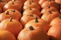 Pile of orange pumpkins at the market. Harvest day Royalty Free Stock Photo