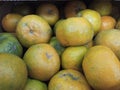 a pile of oranges freshly harvested from the garden