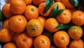 A pile of oranges with green leaves Royalty Free Stock Photo